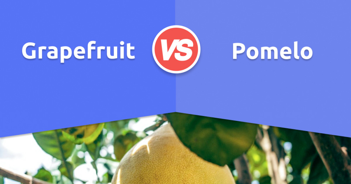 Oro blanco grapefruit vs pomelo
